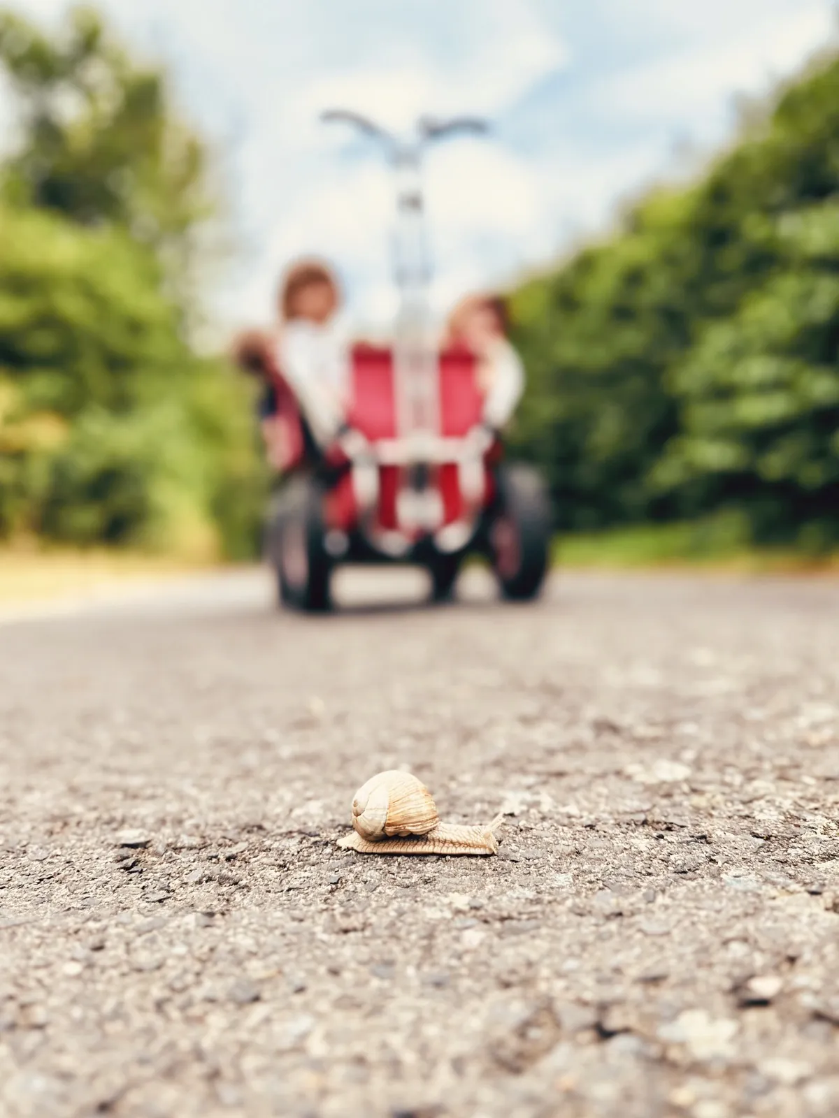 Eine Schnecke überquert den Weg; im unscharfen Hintergrund sind Kinder mit einem Kinderwagen zu sehen.
